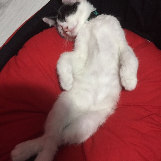 Yeni Nesil PVC Pencere ve Kapı Sistemleri